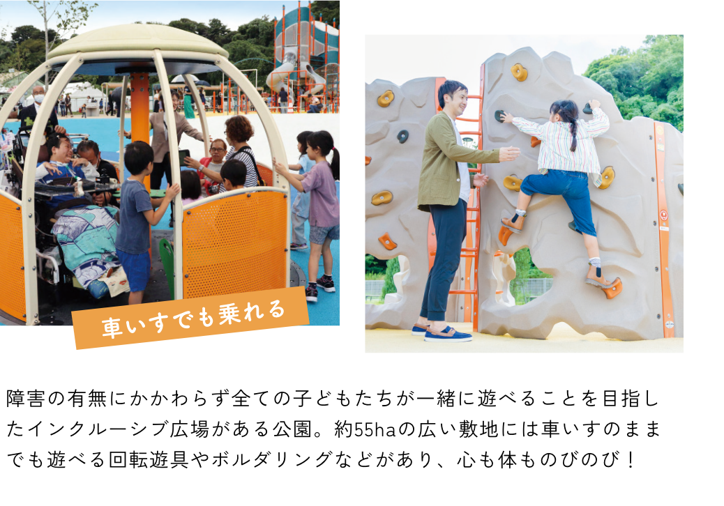 小柴自然公園の遊具で遊ぶファミリーの写真