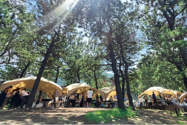 DREAM DOOR YOKOHAMA HAMMERHEAD