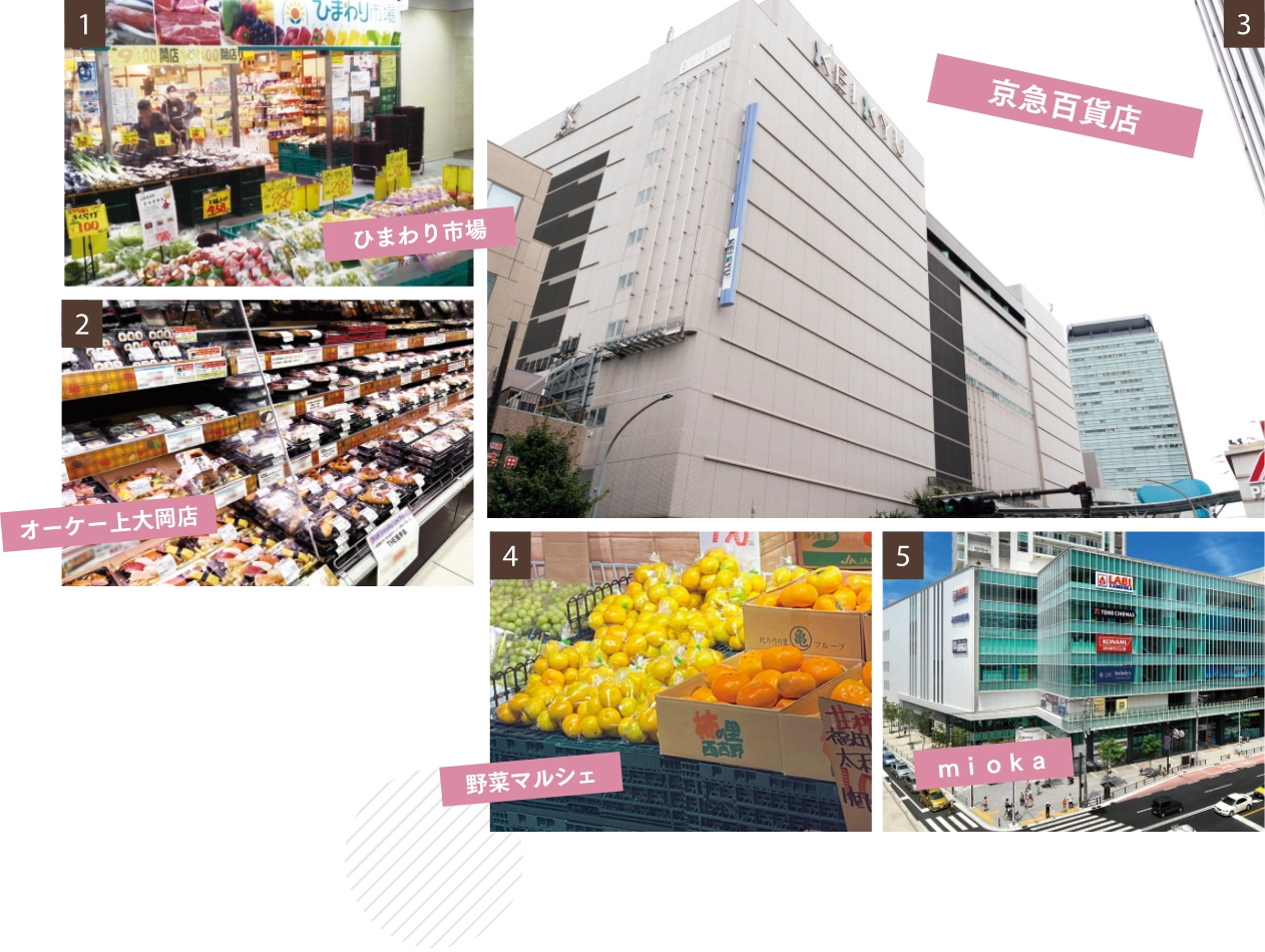 ひまわり市場、オーケー上大岡、京急百貨店、野菜マルシェ、ミオカの写真