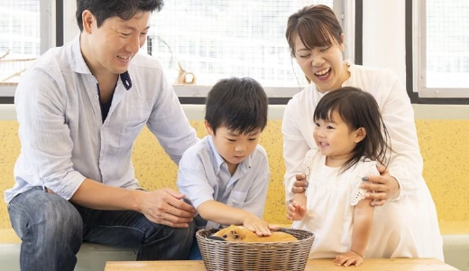 野毛山動物園なかよし広場