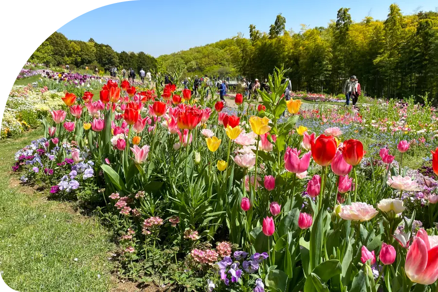 全国最多！身近な公園 イメージ画像③