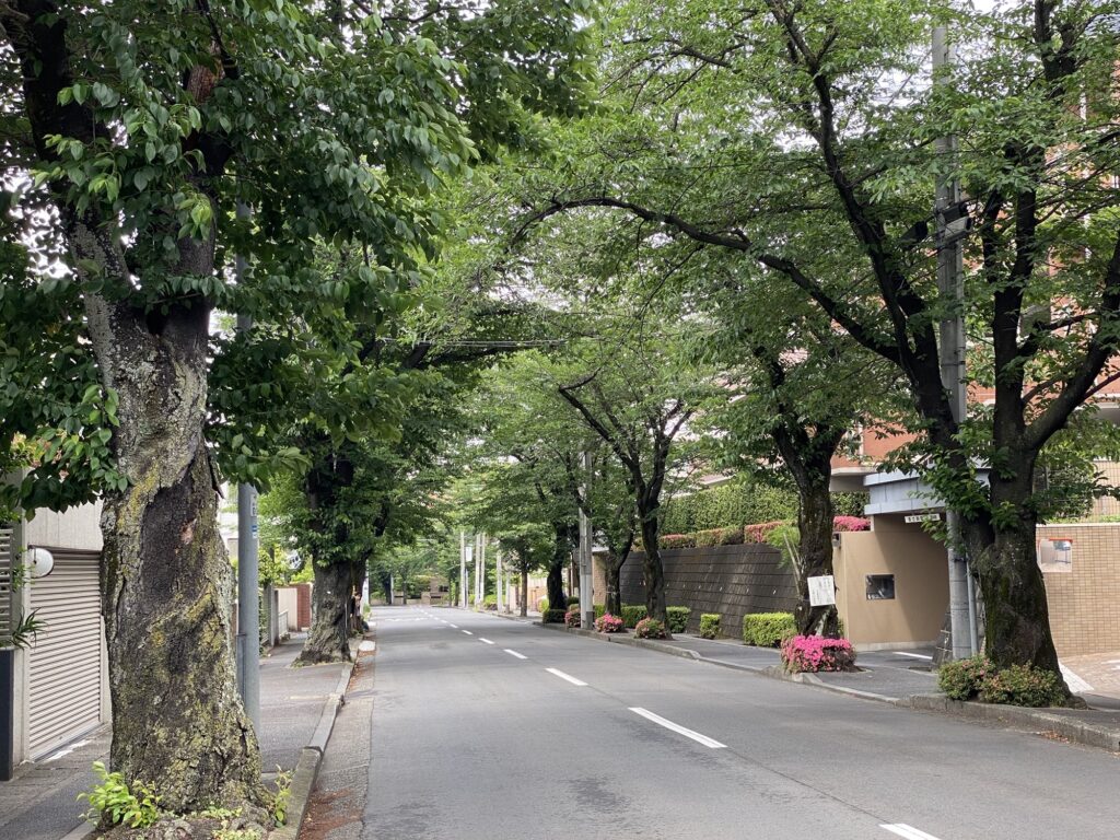 あざみ野の住宅街画像