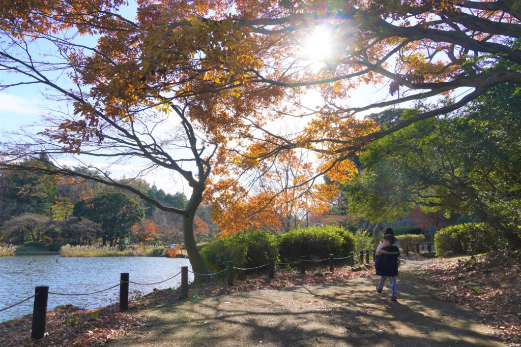 こども自然公園の画像