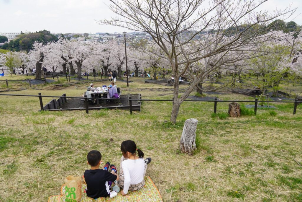 桜山の画像