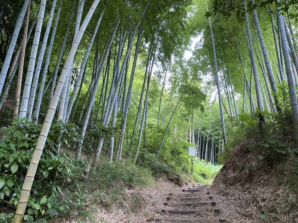 本郷ふじやま公園